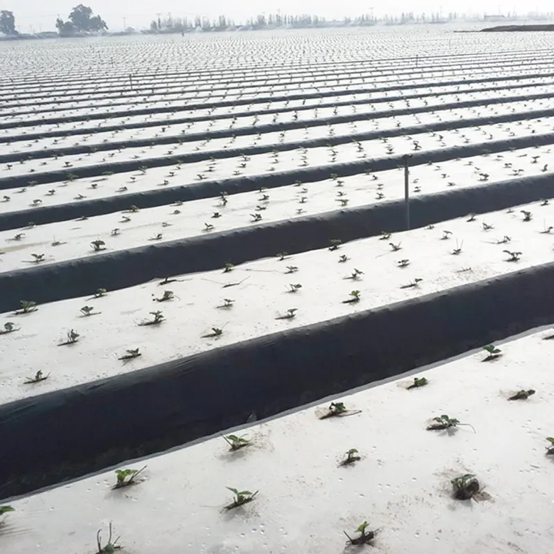 UV Stabilized Black Agricultural Mulch Film