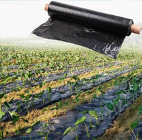 Anti-Weed Black Plastic Mulch Agricultural Film