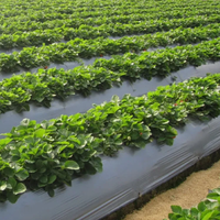 UV-Resistant Agricultural Mulch and Crop Cover Film