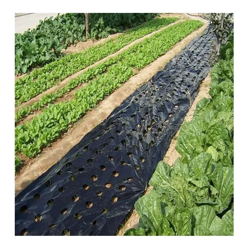 UV-Resistant Agricultural Mulch and Crop Cover Film