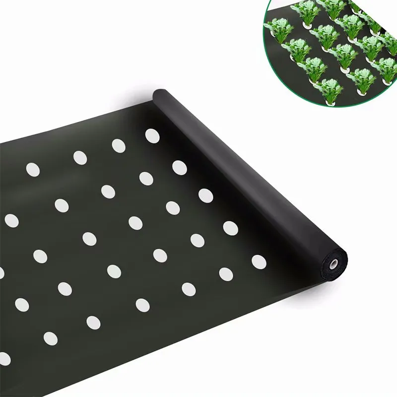 Biodegradable PLA/PBAT Agricultural Mulch Film for Weed Control