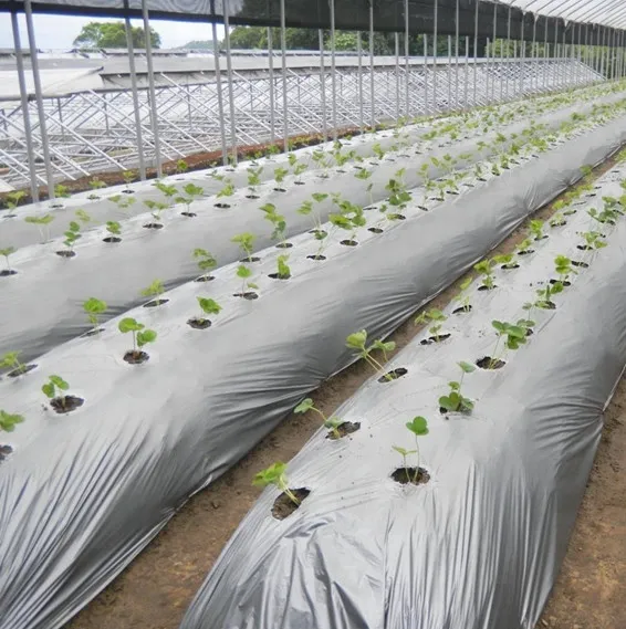 UV Stabilized Black Agricultural Mulch Film